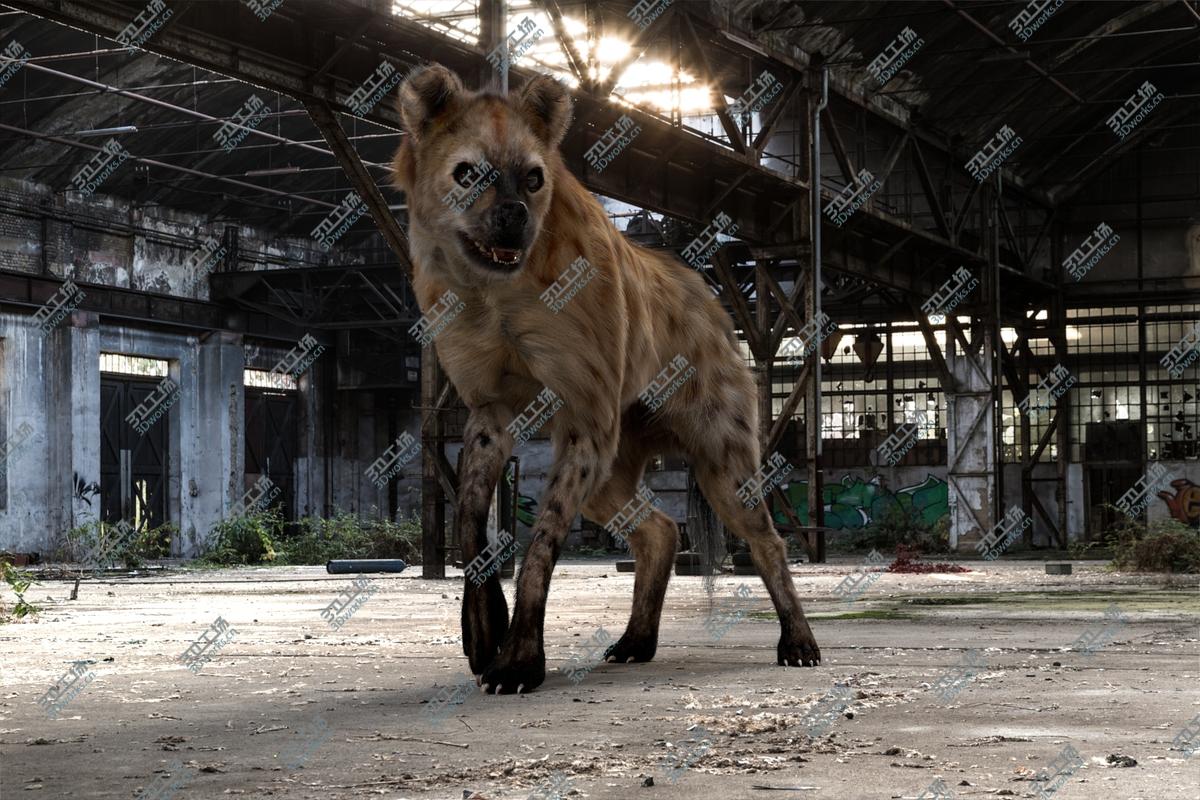 images/goods_img/202104022/Hyena (Fur) (Rigged) 3D model/4.jpg